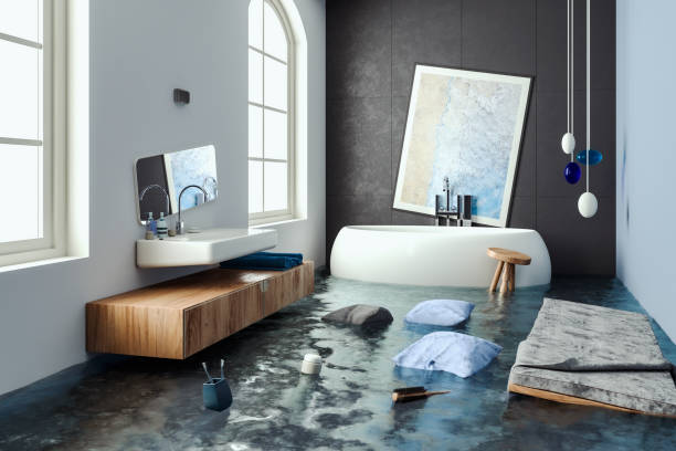 Best Flood restoration services  in Crainvle, IL