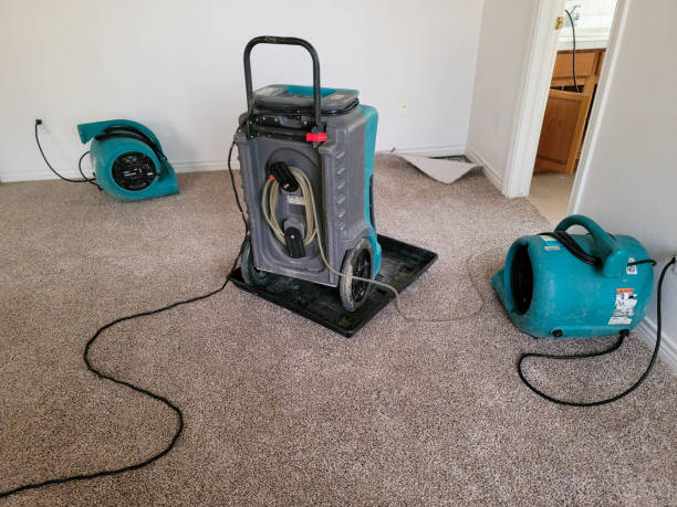 Water damage restoration insurance claims in Crainville, IL