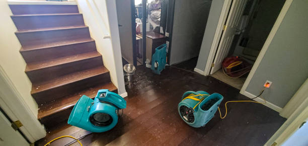 Best Water damage restoration near me  in Crainvle, IL