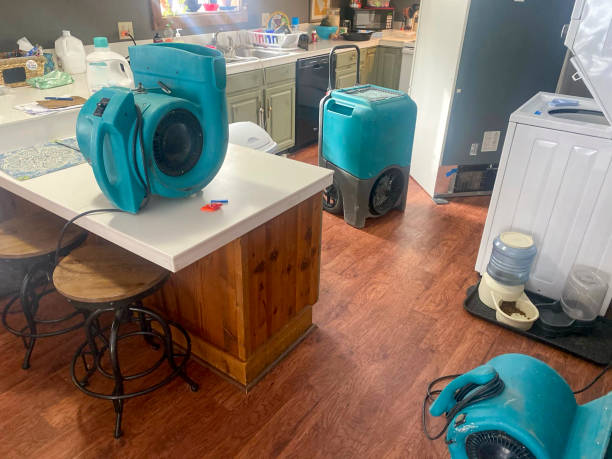 Best Mold removal after water damage  in Crainvle, IL