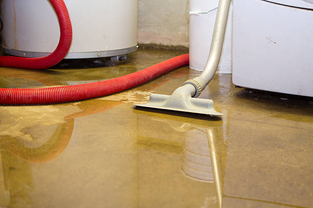 Best Local water damage restoration  in Crainvle, IL