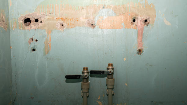 Best Carpet water damage restoration  in Crainvle, IL