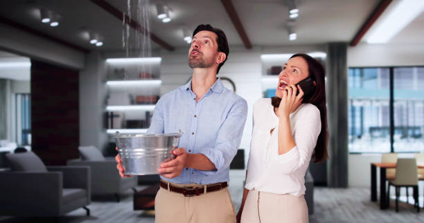 Best Professional water damage repair  in Crainvle, IL