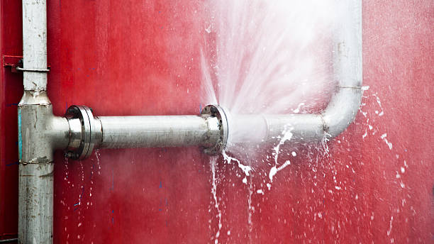 Best Water damage contractors near me  in Crainvle, IL