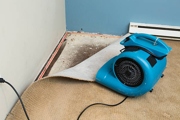 Best 24-hour water damage restoration  in Crainvle, IL